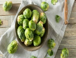 Can Dogs Eat Brussel Sprouts? Are Brussel Sprouts Good For Dogs?