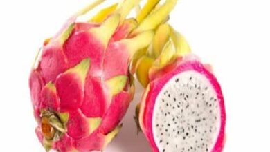 Can Dogs Eat Dragon Fruit? Benefits Of Dragon Fruit For Dogs