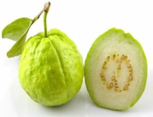 Can Dogs Eat Guava? Is Guava Good For Dogs?