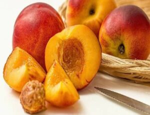 Can Dogs Eat Nectarines? Are Nectarines Safe For Dogs?