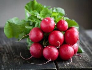 Can Dogs Eat Radishes? Are Radishes Good For Dogs?